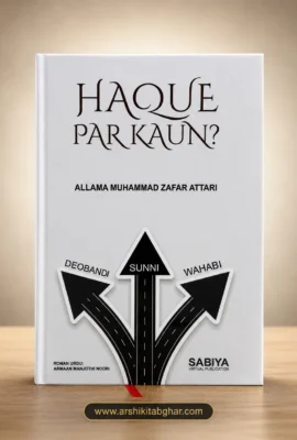 Haque Par Kaun? (Roman English)